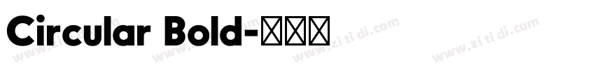 Circular Bold字体转换 Circular Bold字体转换